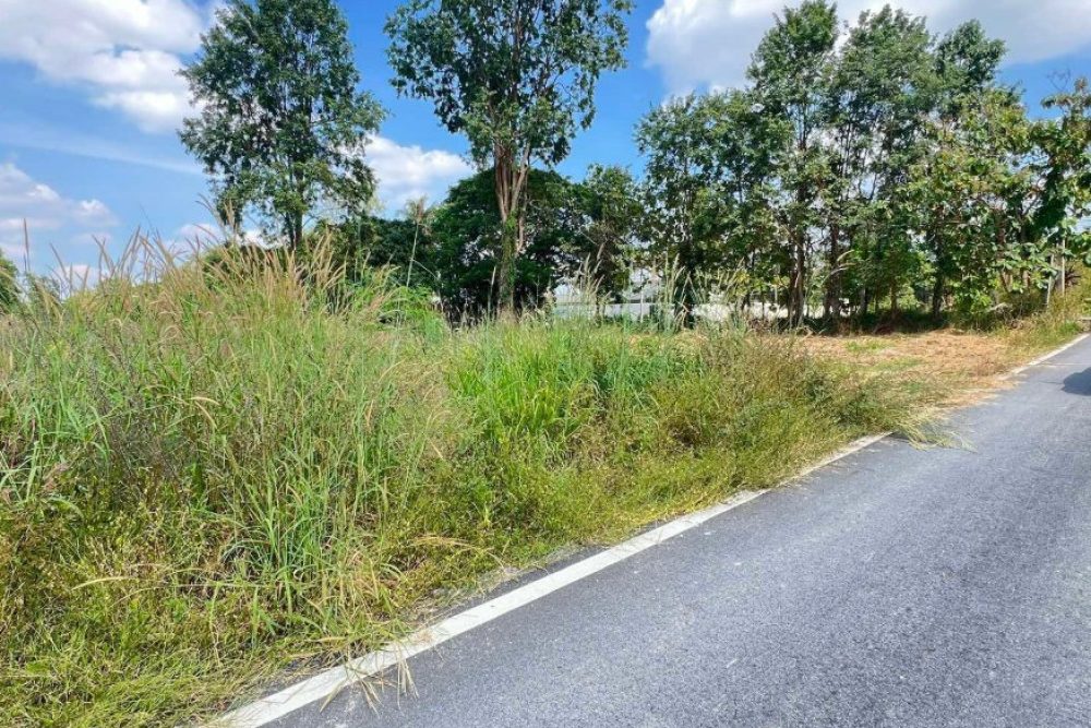 ภาพหน้าจอ_112425_042430_PM