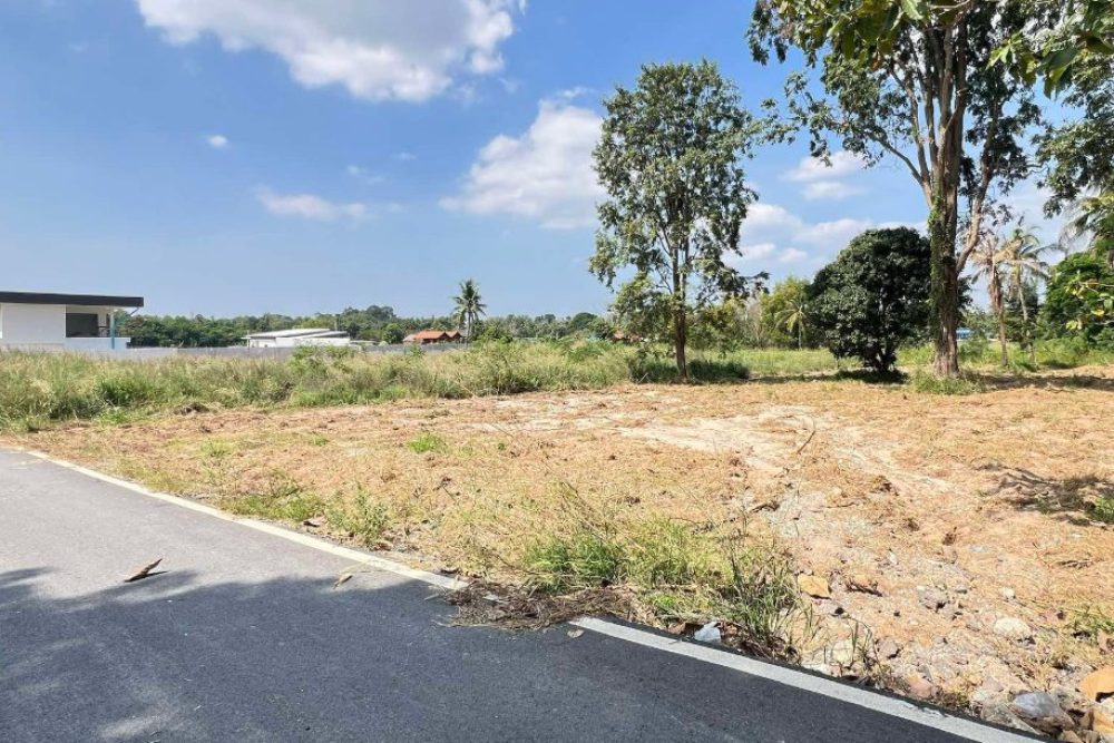 ภาพหน้าจอ_112425_042444_PM