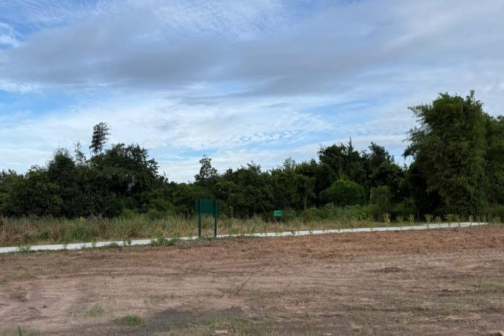 ภาพหน้าจอ_112725_020240_PM