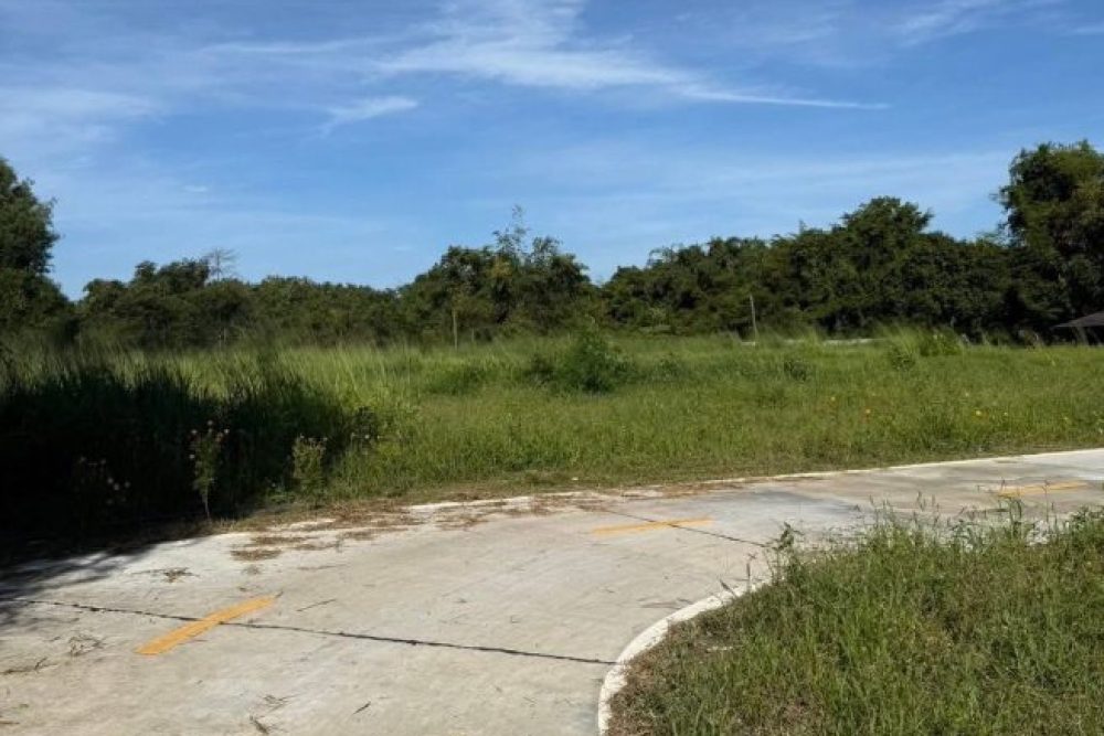 ภาพหน้าจอ_112725_020353_PM