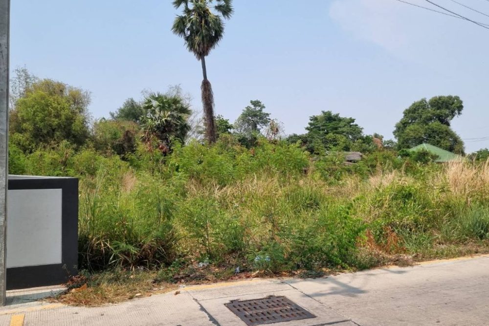 ภาพหน้าจอ_120424_104528_AM