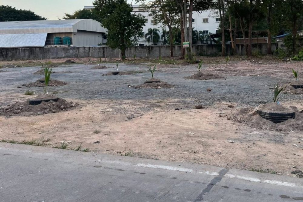 ภาพหน้าจอ_120825_030101_PM