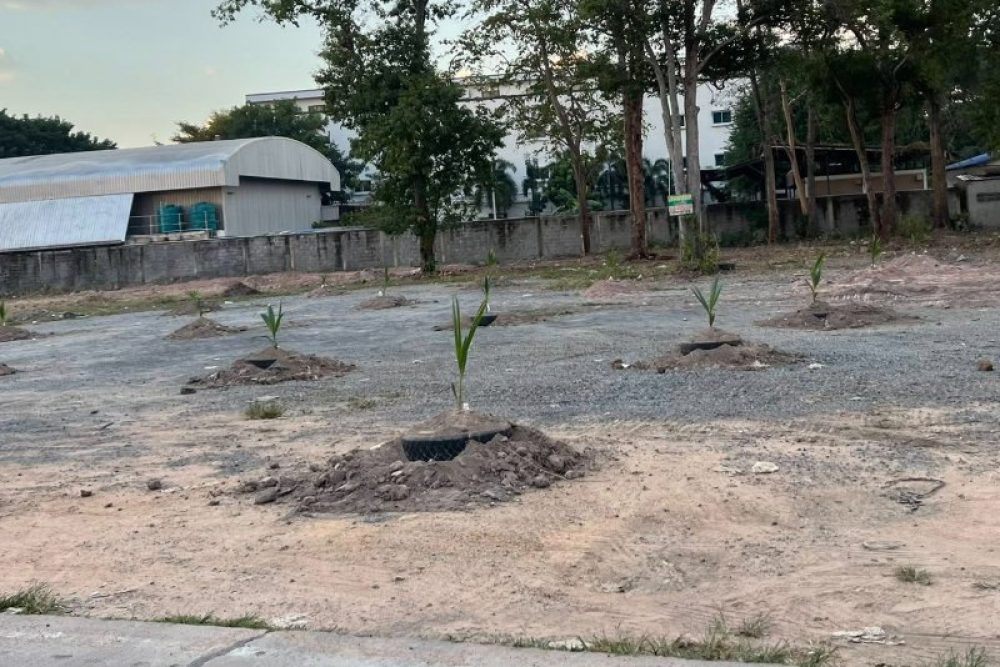 ภาพหน้าจอ_120825_030116_PM