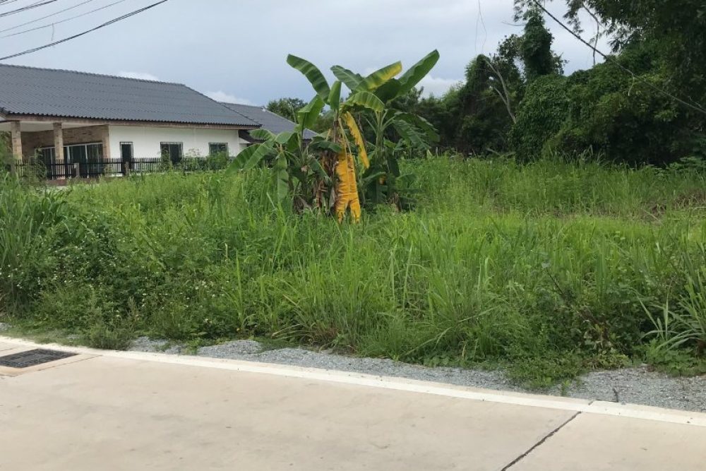 ภาพหน้าจอ_121125_012413_PM