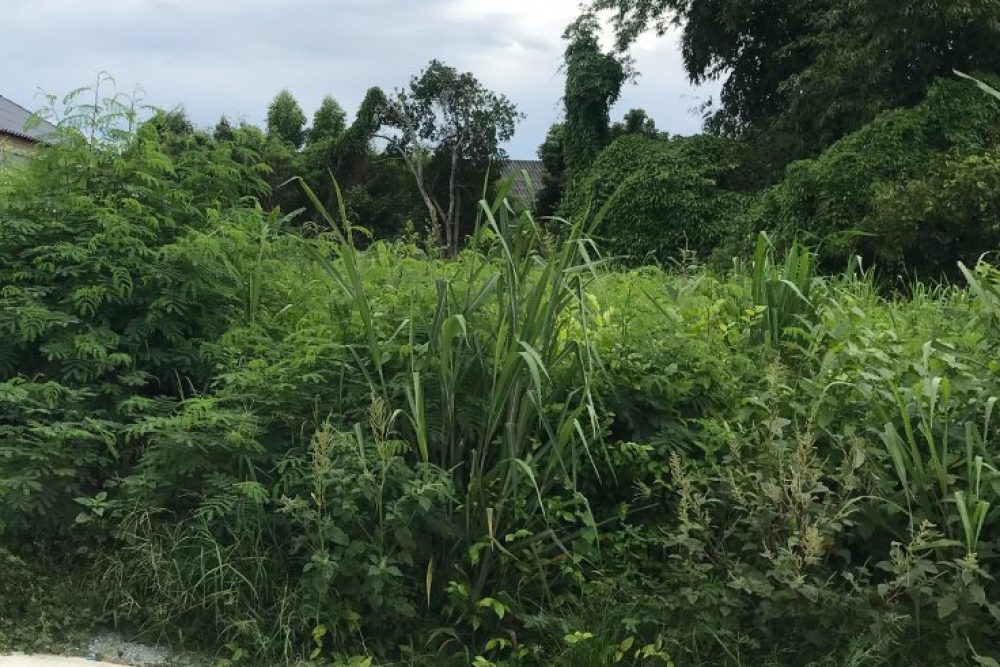 ภาพหน้าจอ_121125_012425_PM