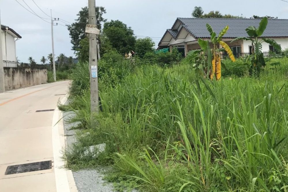 ภาพหน้าจอ_121125_012438_PM