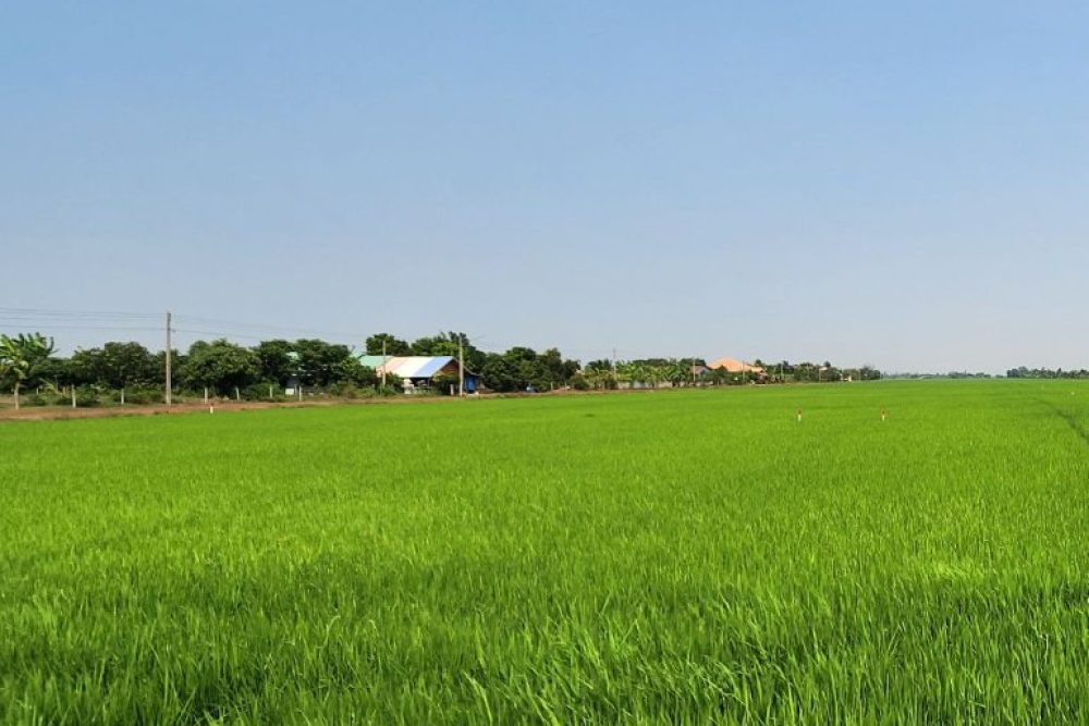 ภาพหน้าจอ_121125_024242_PM