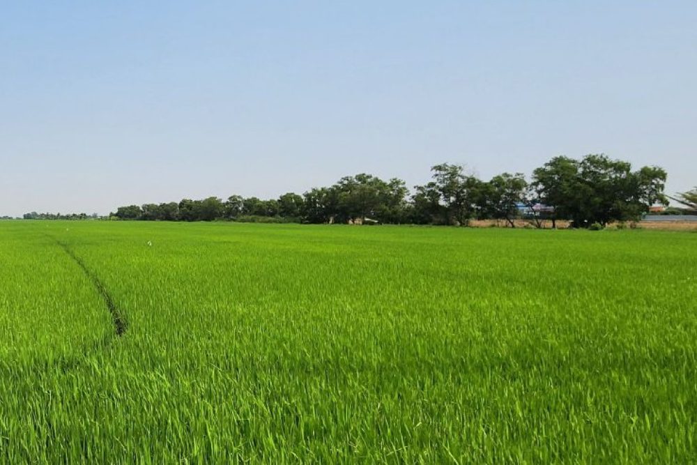 ภาพหน้าจอ_121125_024253_PM