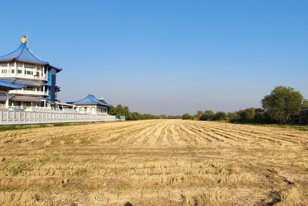 ภาพหน้าจอ_121125_033112_PM