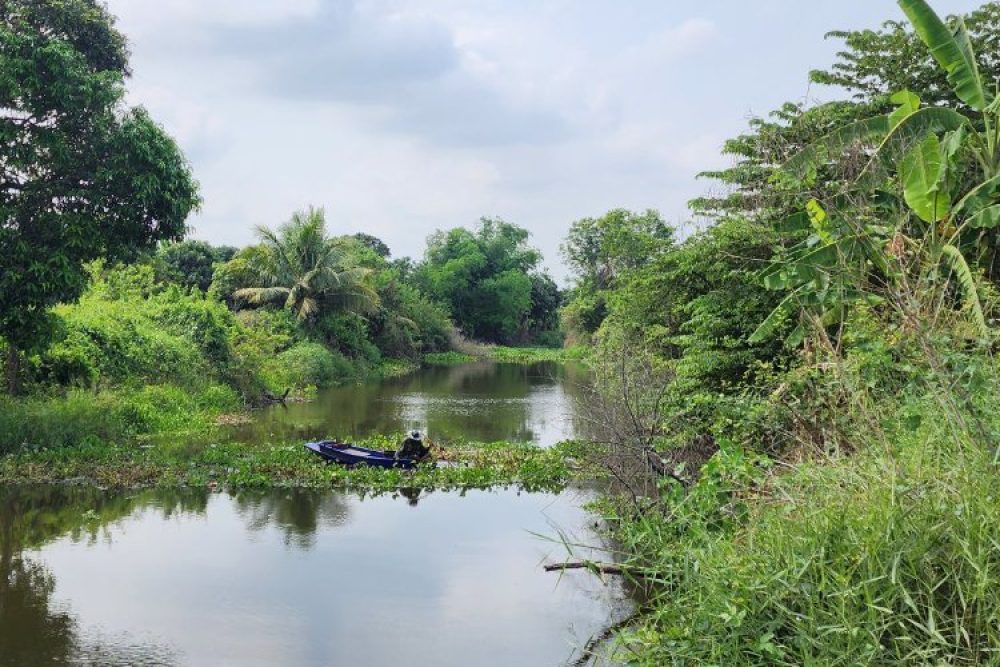 ภาพหน้าจอ_121125_033140_PM