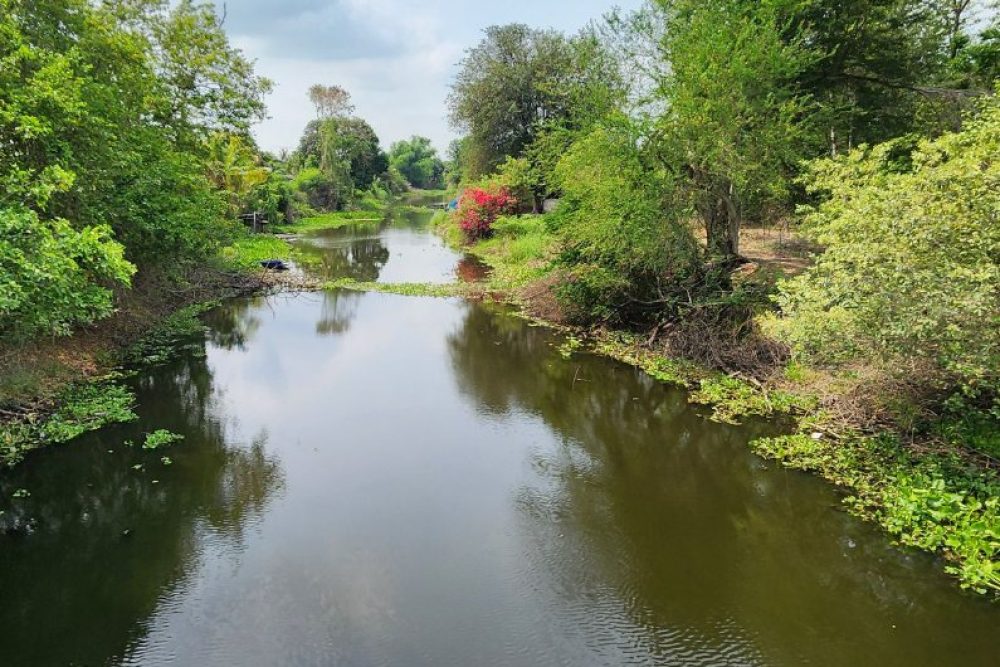 ภาพหน้าจอ_121125_033214_PM