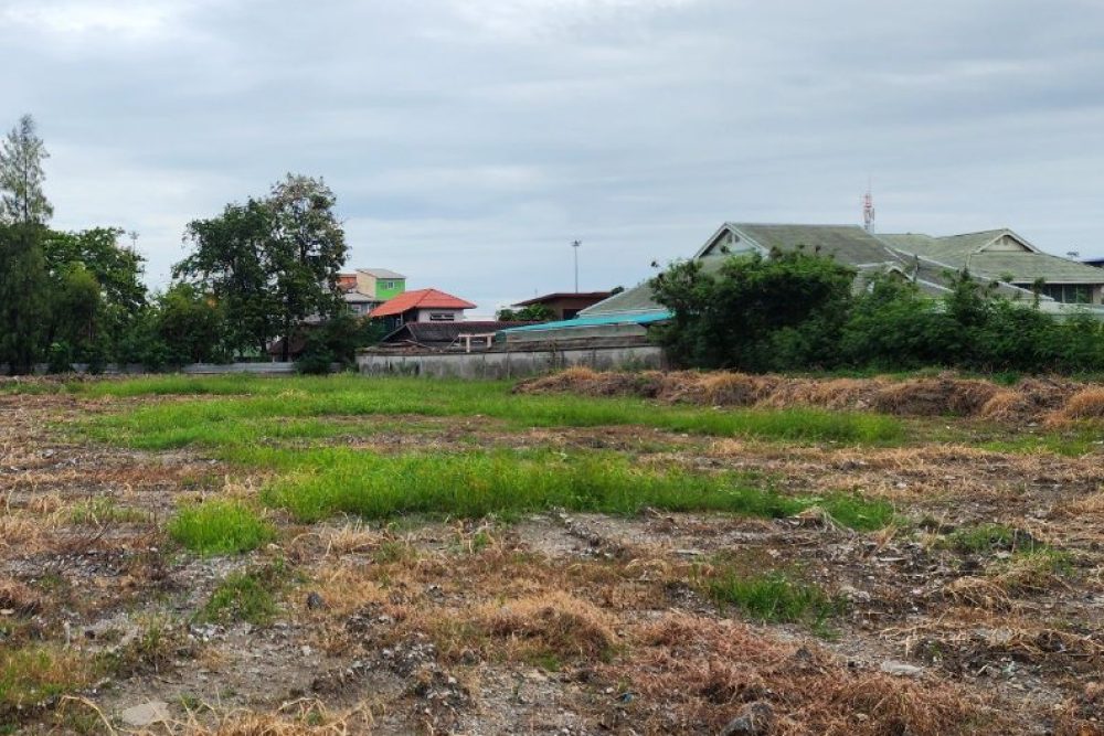 ภาพหน้าจอ_121125_042116_PM