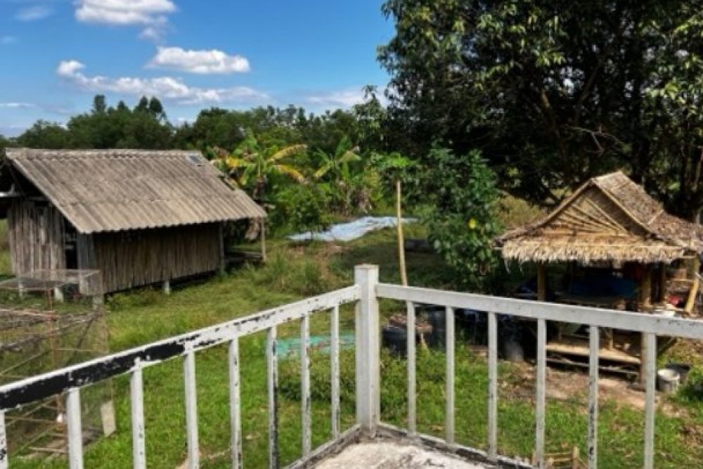 ภาพหน้าจอ_121125_111125_AM