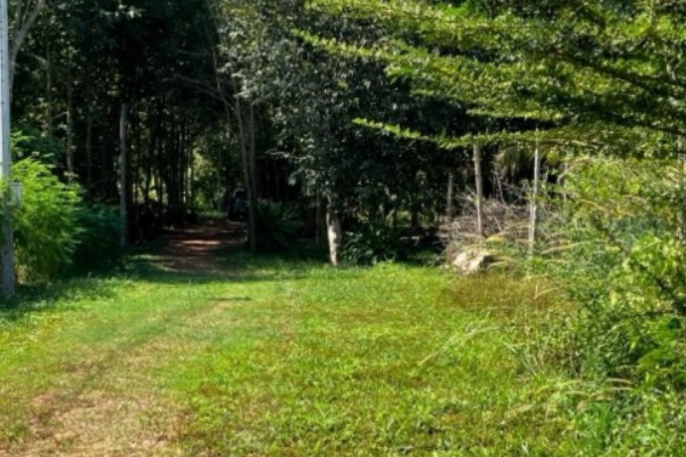 ภาพหน้าจอ_121125_111213_AM