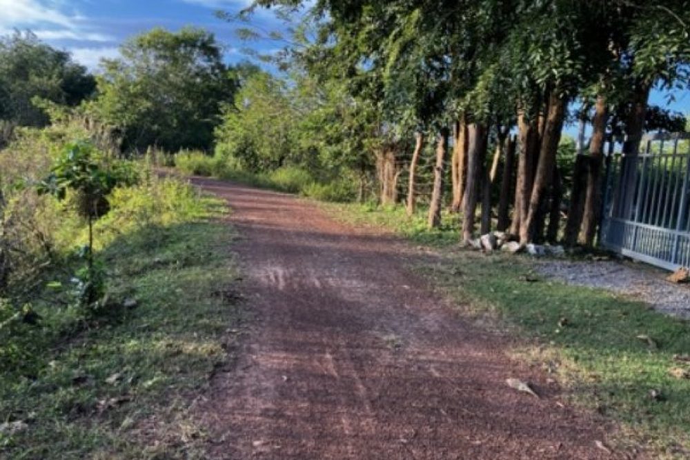 ภาพหน้าจอ_121125_111241_AM