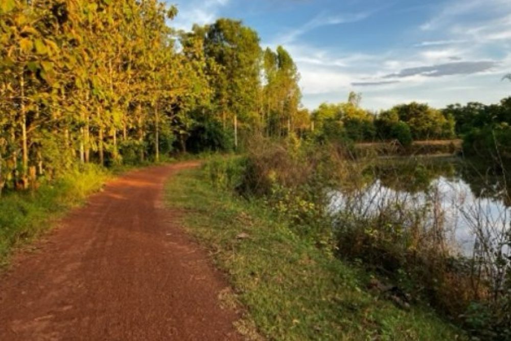 ภาพหน้าจอ_121125_111305_AM