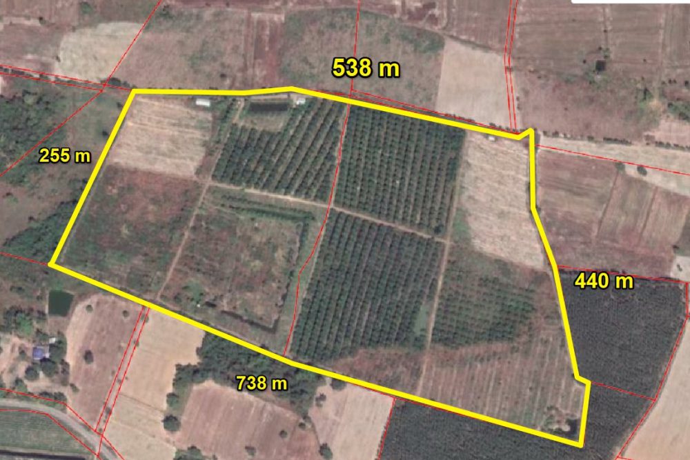 ภาพหน้าจอ_121721_111909_AM