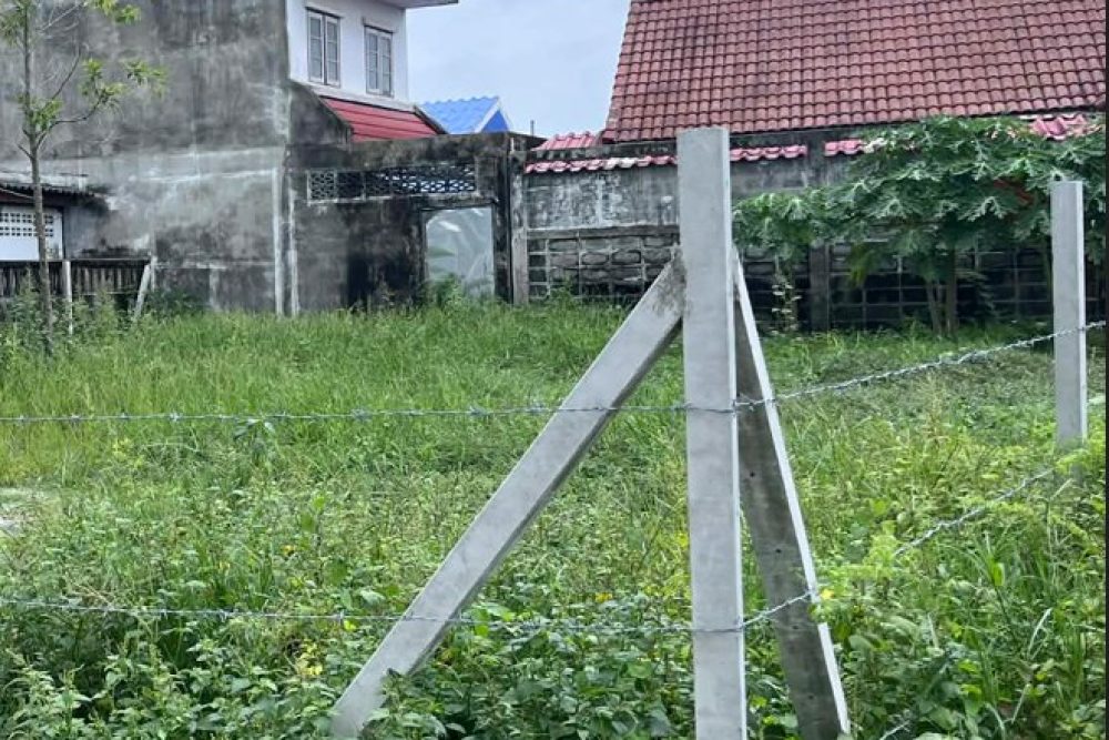 ภาพหน้าจอ_121925_085118_AM