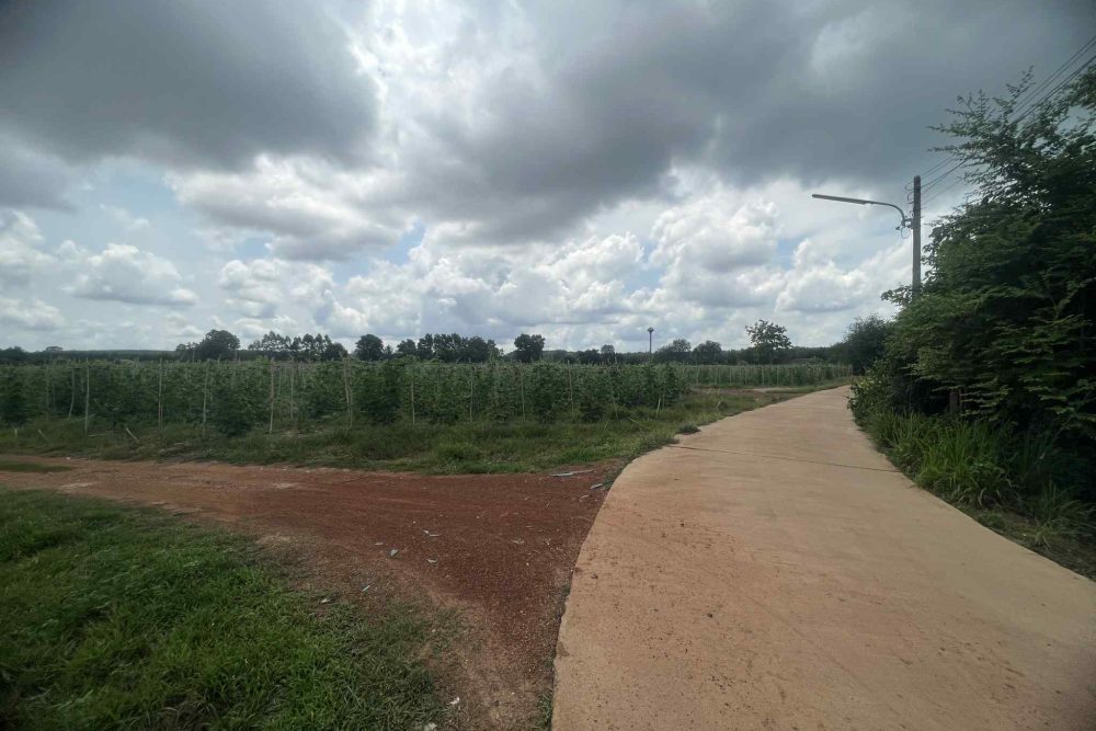 bfa55f57-cad8-433d-9c1c-dbd9c5d39611