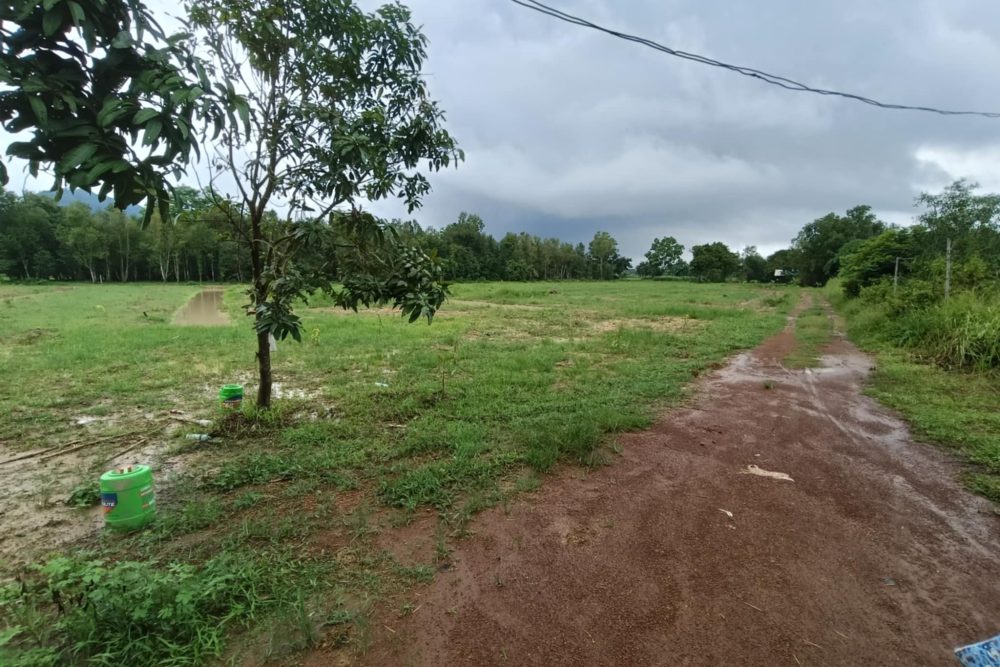 d85429ce-e3da-4232-aceb-040afeee9021