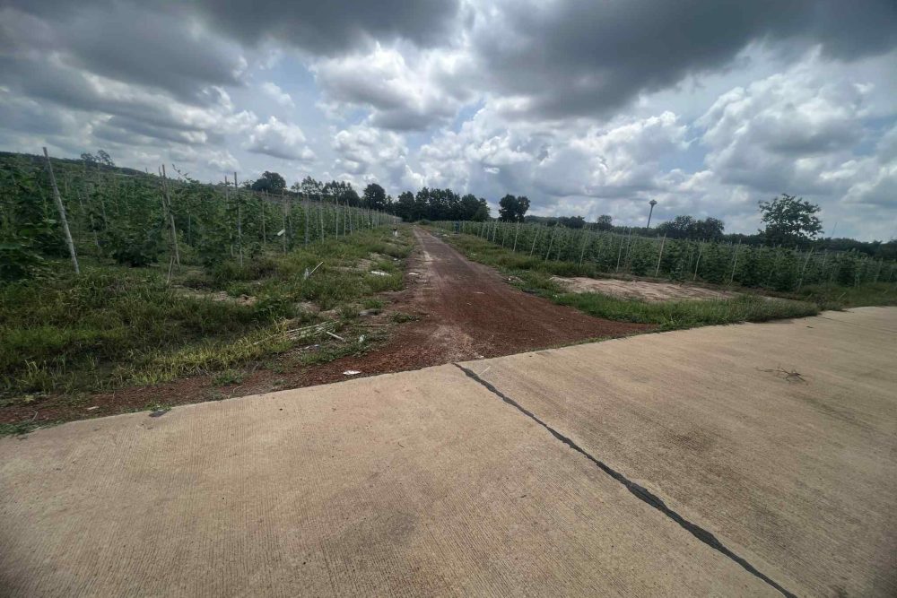 e9ed1536-a51b-48a6-8ea6-ab175150beb9