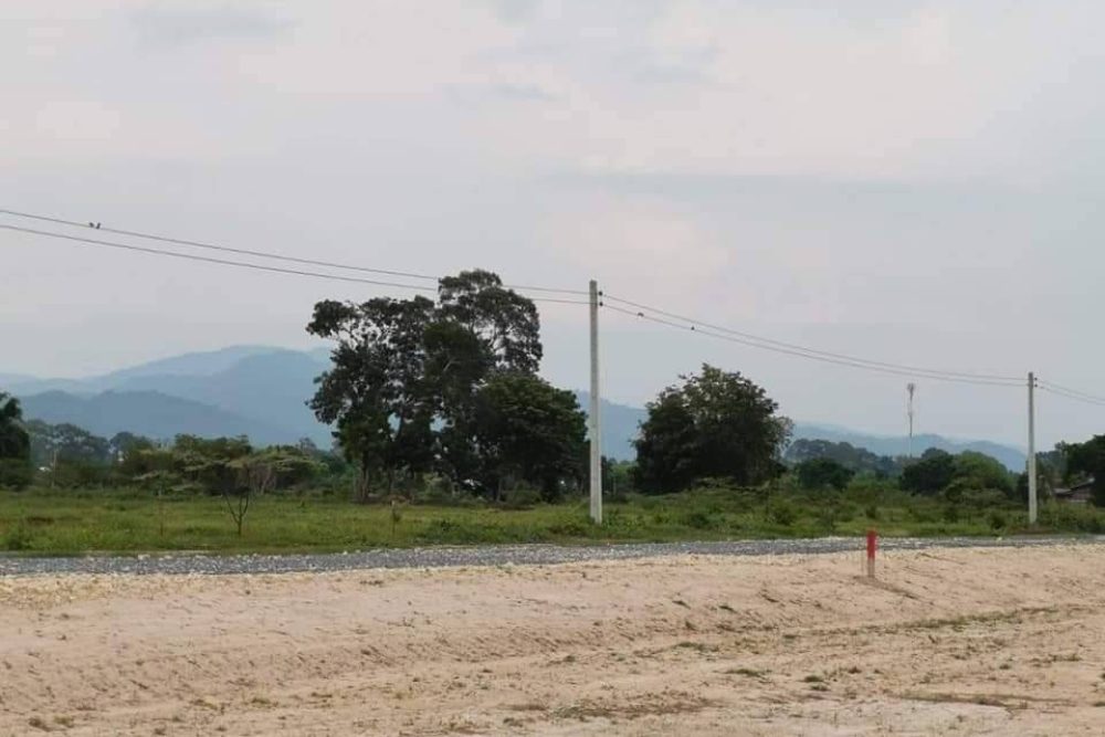 timeline_20210219_095659