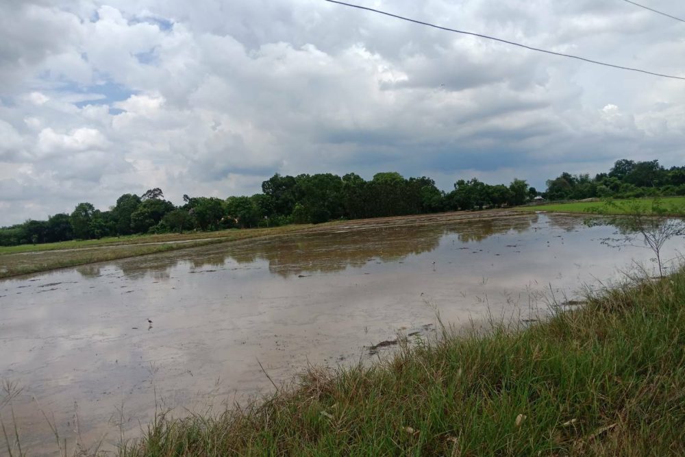 timeline_20210426_162113