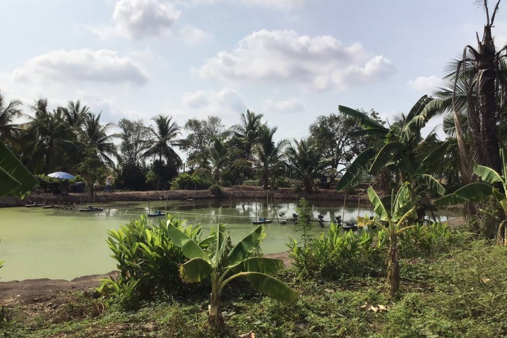 timeline_20210728_160123