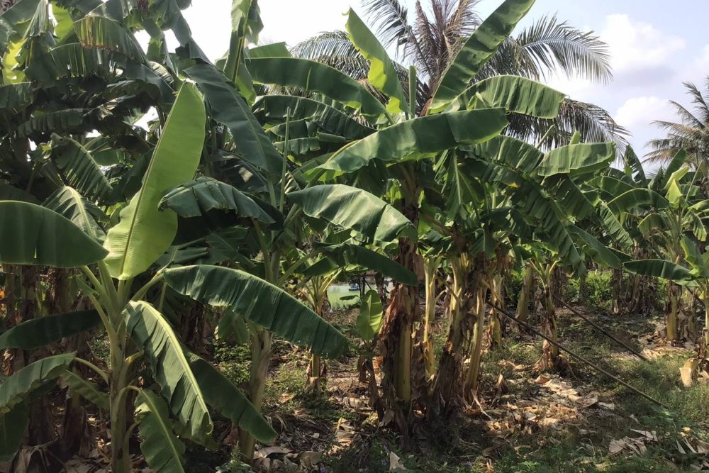 timeline_20210728_160125