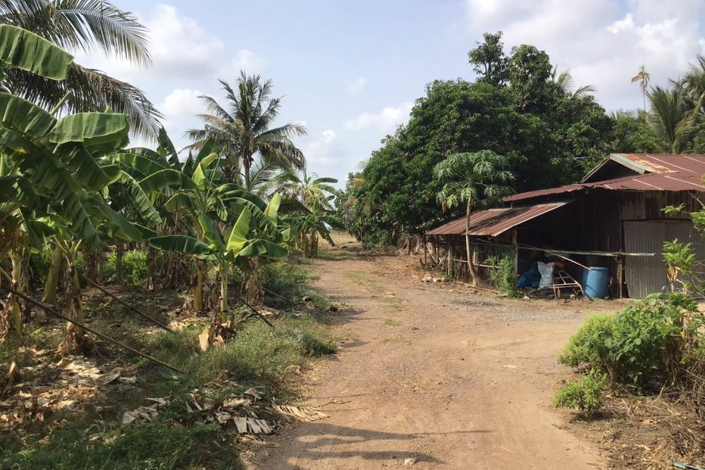 timeline_20210728_160126