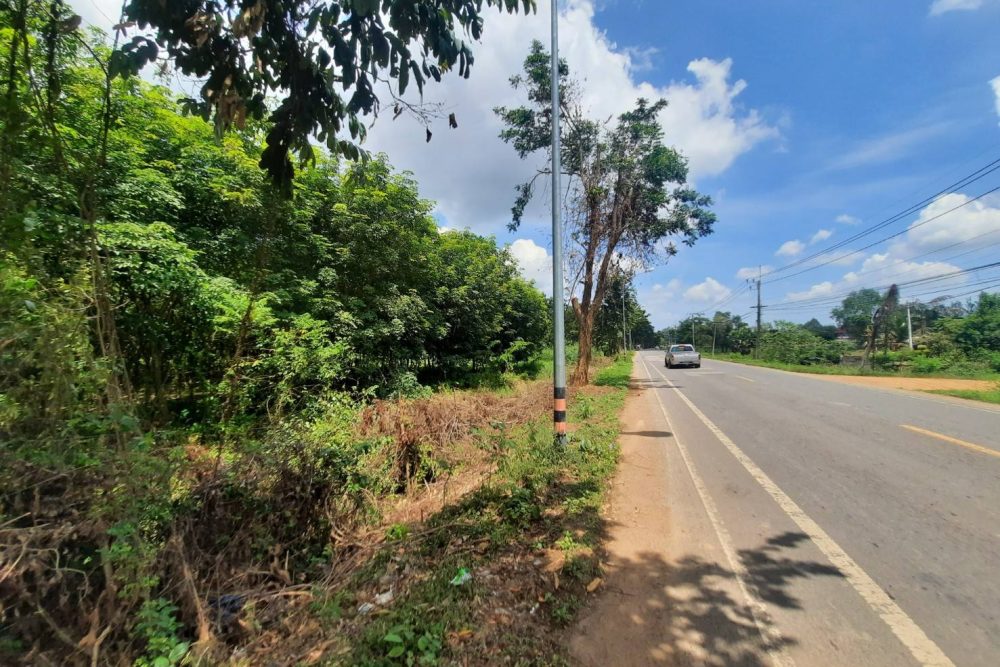 timeline_20210808_111801