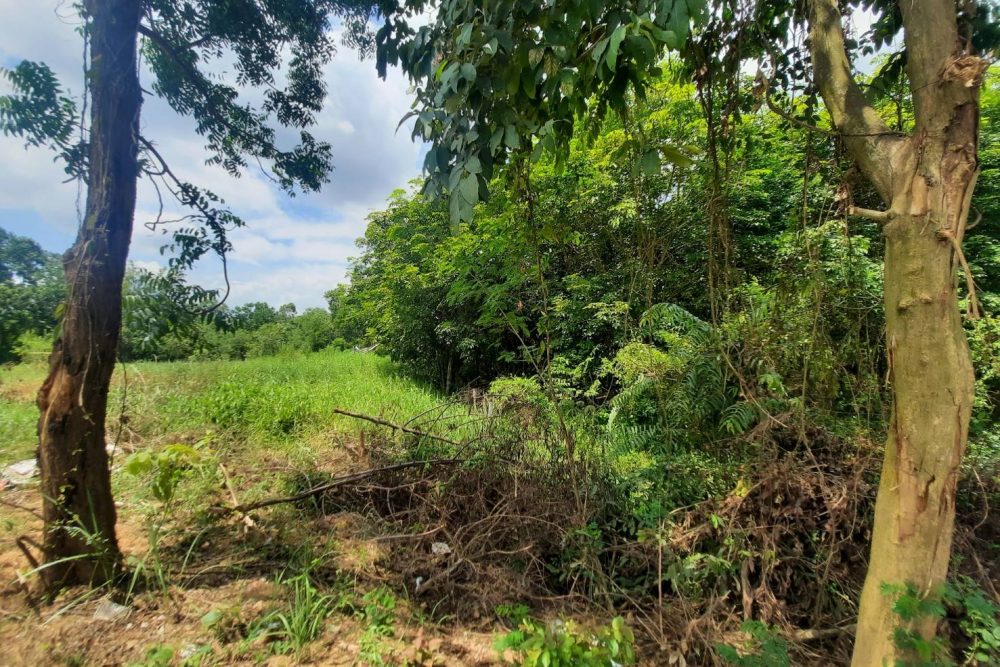 timeline_20210808_111805