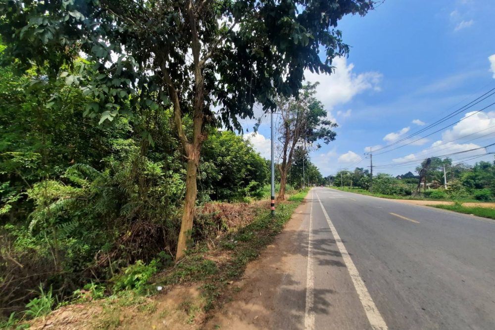 timeline_20210808_111815