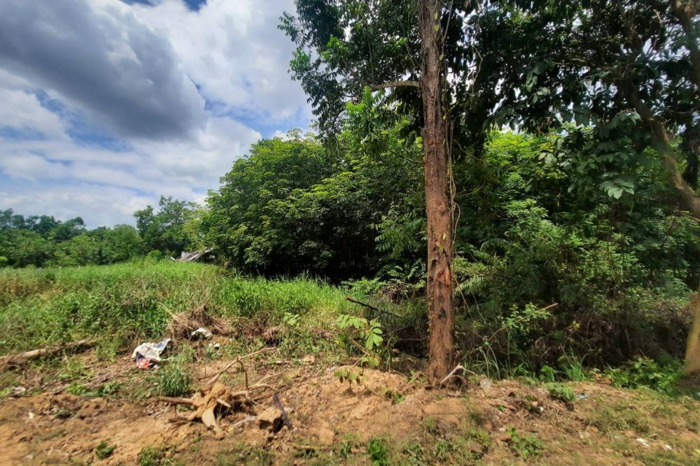 timeline_20210808_111817