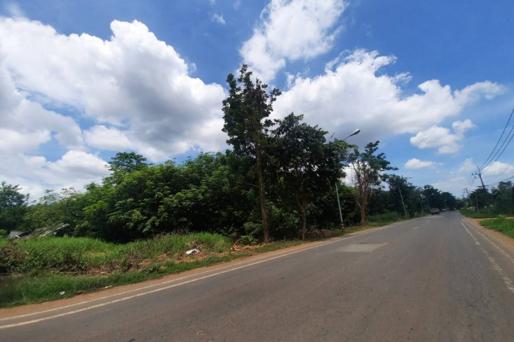 timeline_20210808_111820