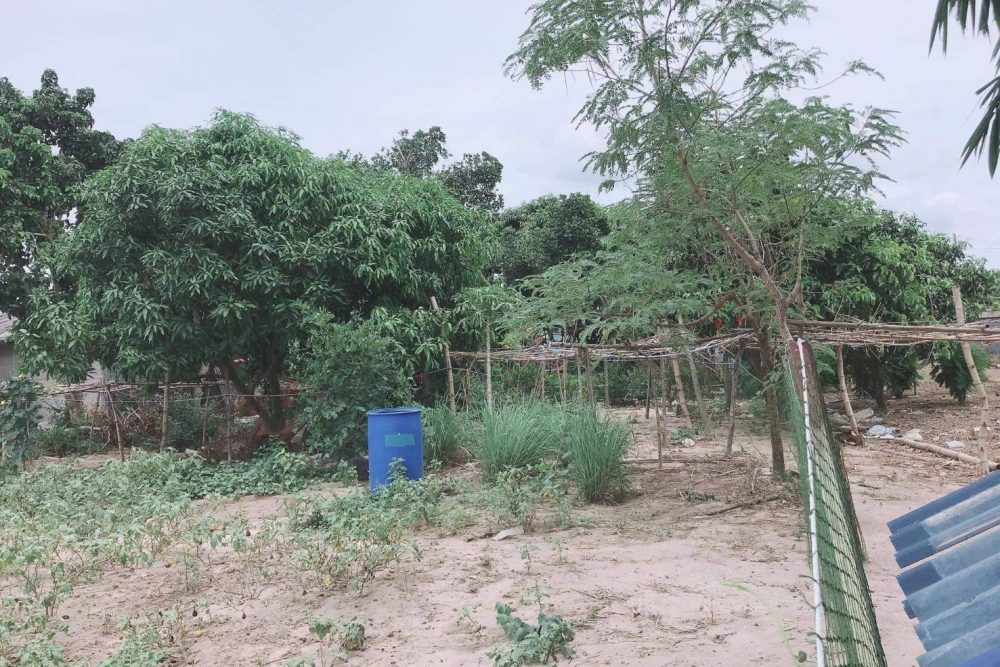 timeline_20210813_163021