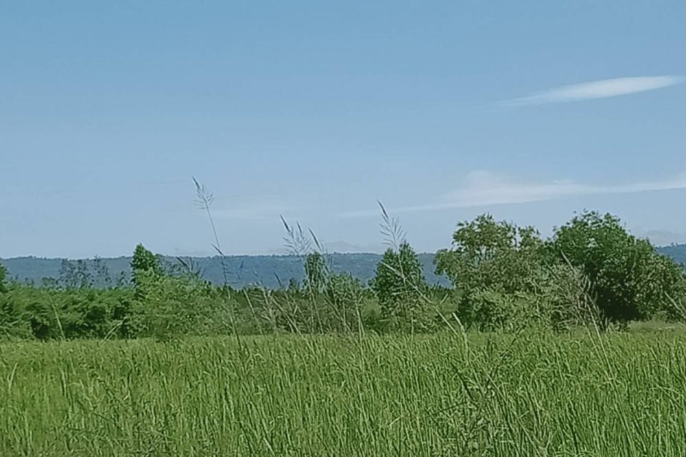 timeline_20211025_184907