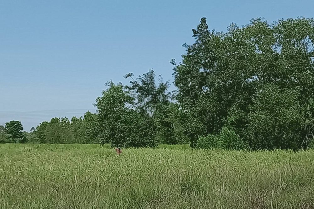 timeline_20211025_184910