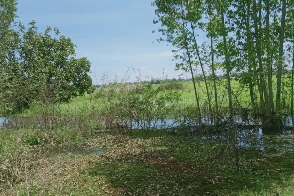 timeline_20211025_190845