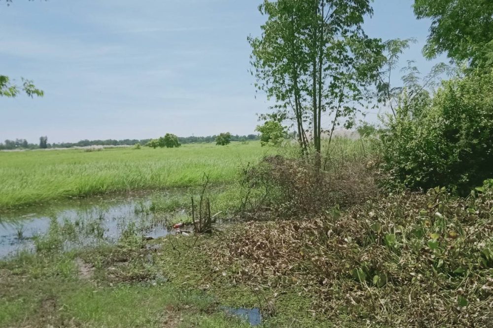 timeline_20211025_190856