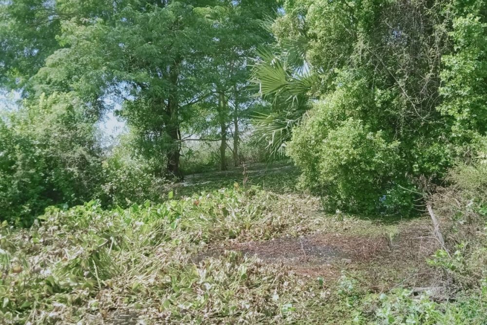 timeline_20211025_190902