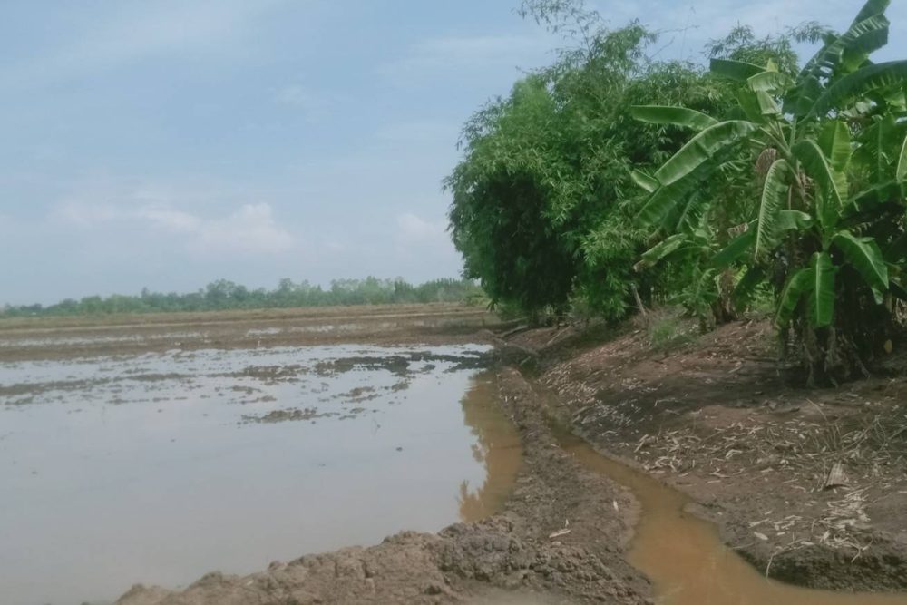 timeline_20211107_193811