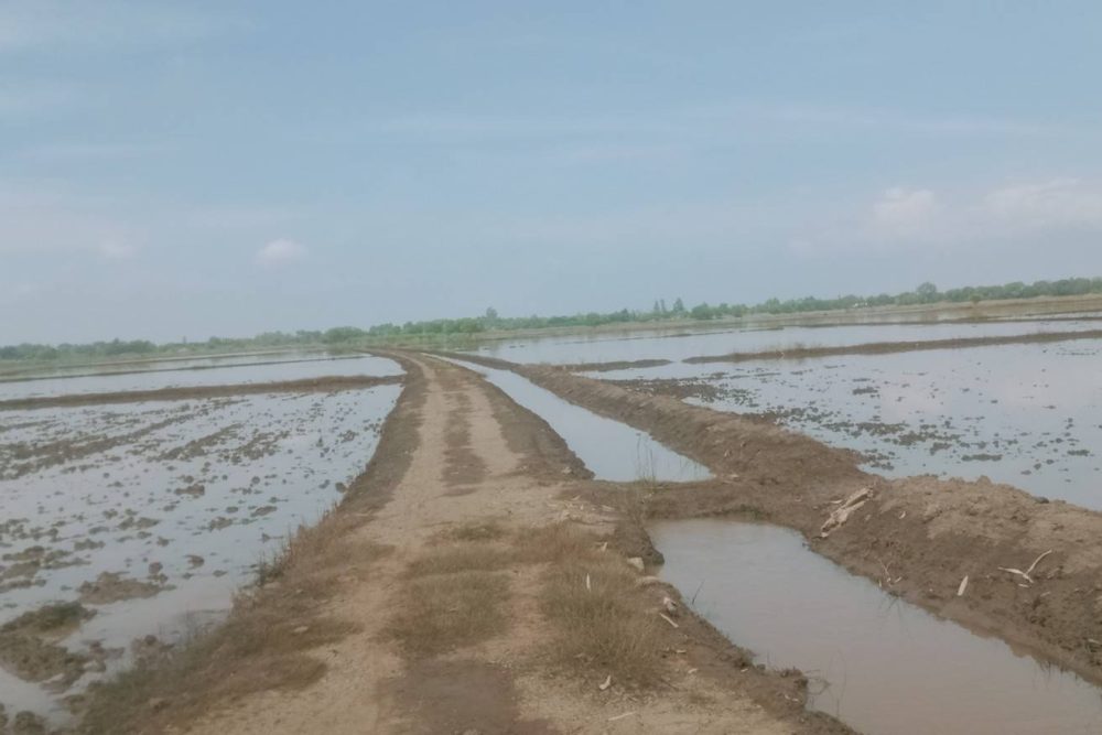 timeline_20211107_193814