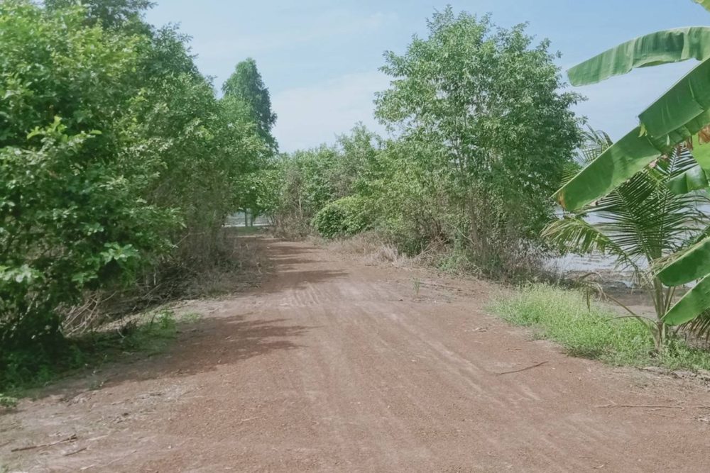 timeline_20211107_193821