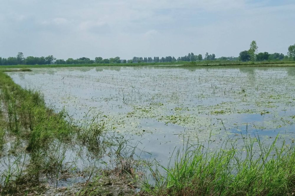 timeline_20211107_195045