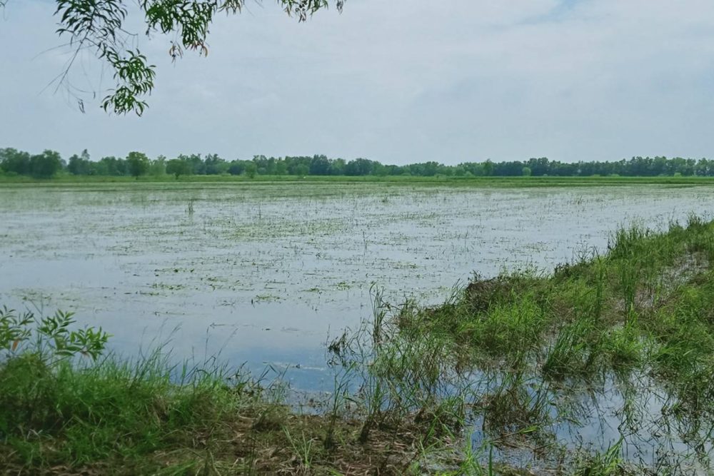 timeline_20211107_195053