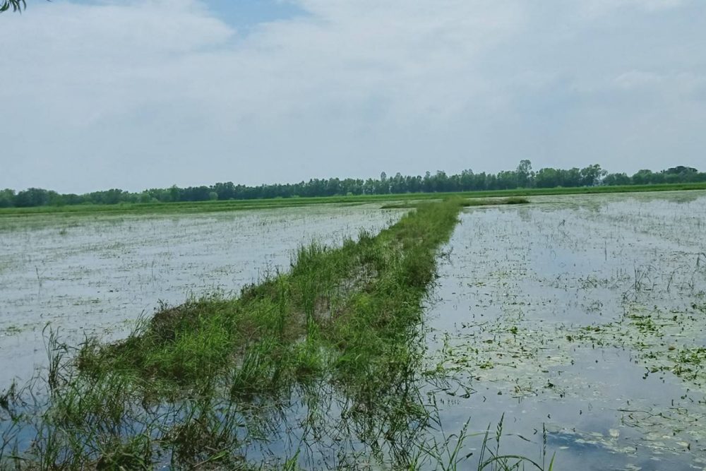 timeline_20211107_195106