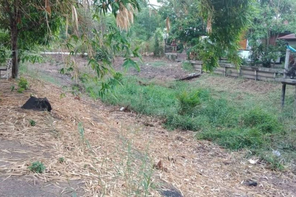 timeline_20211207_104659