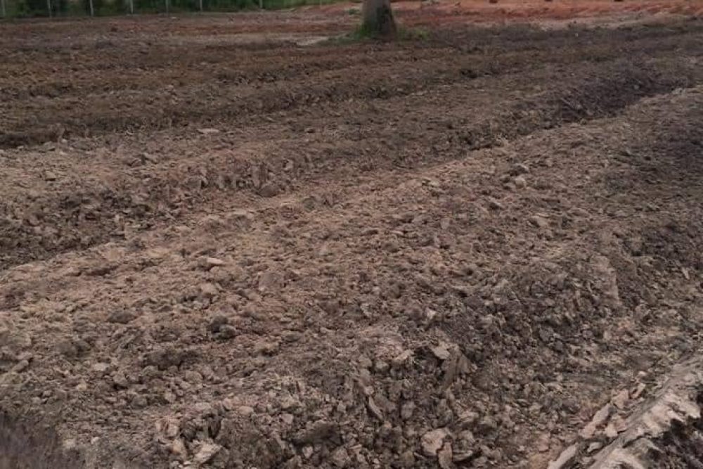 timeline_20211214_092857