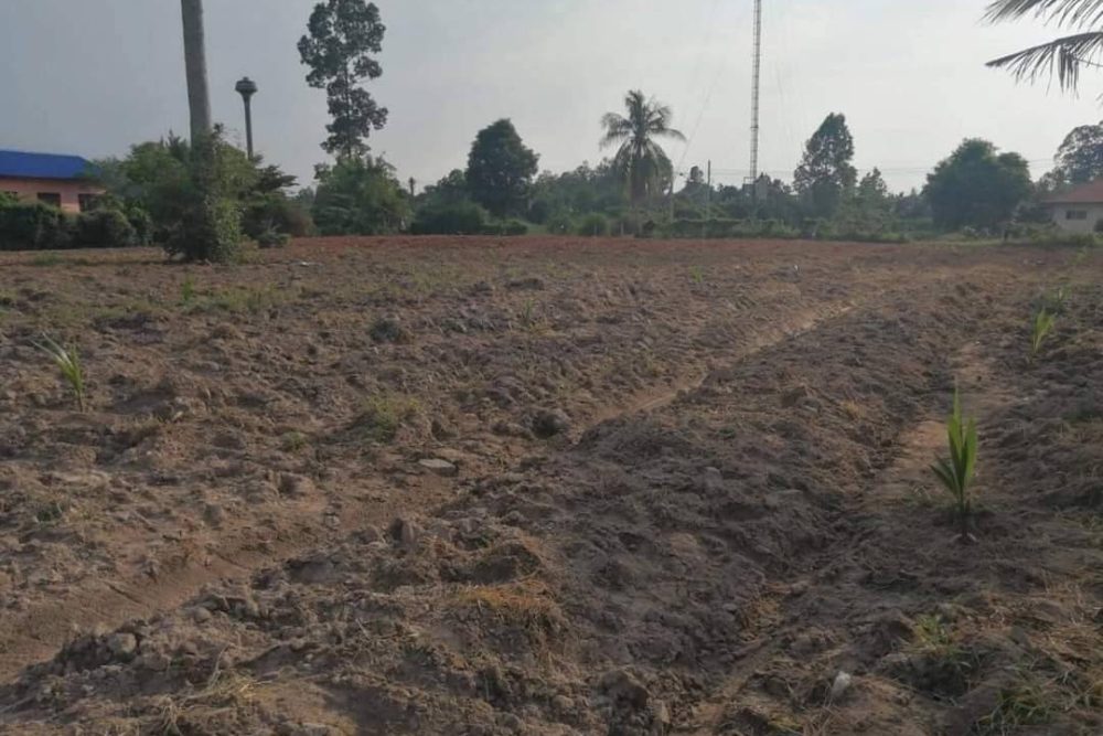 timeline_20211214_092859